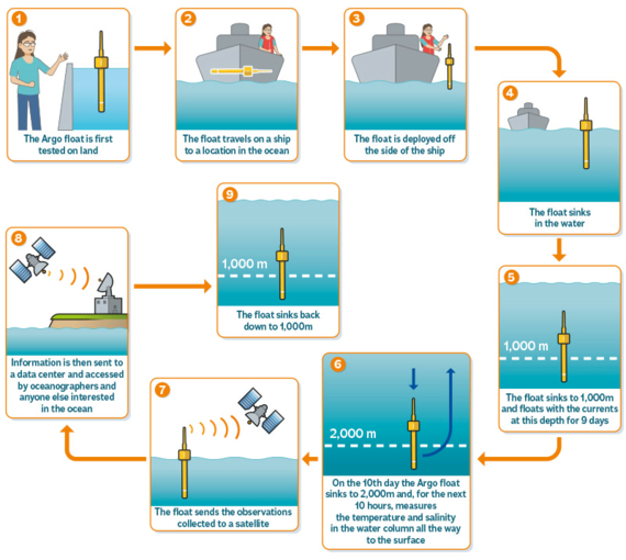 A series of illustrations showing the Argo float cycle