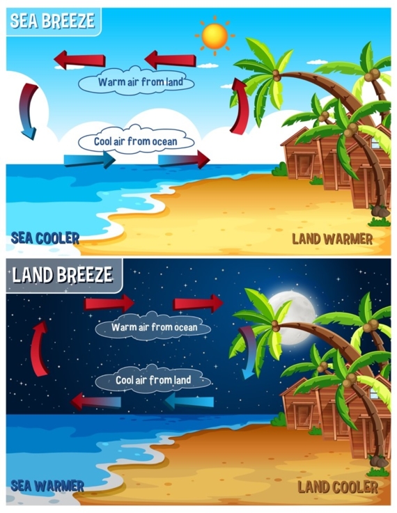 An illustration showing how land and sea breezes are formed, by cold and warm air exchanges between land and sea