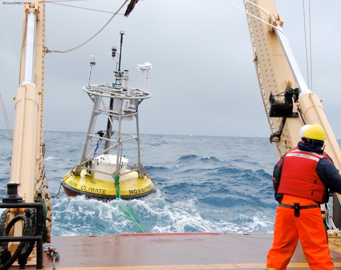 Surface element of a long-term, deep-sea mooring, equipped with pH and other CO2 relevant sensors, deployed in the North Pacific Ocean