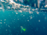 A glider, an autonomous underwater robot, travelling in the water